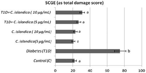 Figure 4. The effects of C. islandica extract on diabetic patients DNA damage determinated by SCGE assay in lymphocytes. Abbreviations are as defined in Figure 1.