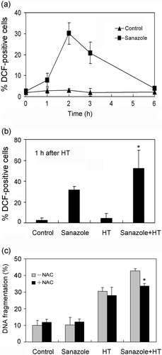 Figure 5. Effect of sanazole, HT and the combination of sanazole and HT on the generation of intracellular H2O2 in U937 cells. (a) Time-dependent changes in intracellular H2O2 induced by sanazole in U937 cells. (b) Induction of intracellular H2O2 by sanazole, HT and the combination of sanazole and HT. The cells were treated first with 10 mM sanazole for 40 min, exposed to HT at 44°C for 20 min and the cells were further treated with the drug at 37°C for 1 h. (c) Effects of NAC (5 mM) on DNA fragmentation induced by sanazole (10 mM), HT (44°C, 20 min) and the combination of sanazole and HT. The results are presented as the means ± SD (n = 3). *p < 0.05.