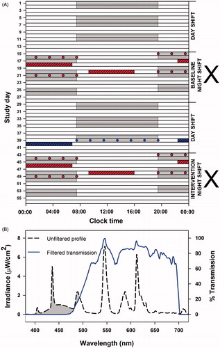 Figure 1. Schematic representation of study protocol and spectral transmission profile of filtered light. Nine full-time nurses participated in the 8-wk study (A). Each participant completed 8 wks consisting of 2-wk rotation periods of alternating night and day shifts (gray bars). Working days were separated by two to three non-workdays (white bars). Participants were randomized in a crossover design (marked by X) to receive glasses fitted with short-wavelength filters (0% transmission <480 nm) to be used only during night shifts (intervention) or exposed to regular unfiltered ambient artificial light (baseline). Sleep and alertness under baseline and intervention conditions (red hashed bar and red filled circles) were compared with nighttime sleep after the seventh day shift (polysomography) and alertness measures taken during the seventh day shift on the second 2-wk day shift period (comparator; blue hashed bar and blue filled circles). Baseline and intervention for nighttime and daytime sleep were assessed on four separate occasions by polysomnography (red hashed bars). Subjective and objective measures of alertness and saliva samples for melatonin assays were collected every 2 h on the first and fourth night shifts under baseline and intervention conditions (red filled circles). Transmission profile (B) of the filtered light (blue line) was generated against a standard fluorescent light source (black dashed line), demonstrating the effective visual short-wavelength range (<480 nm; gray-shaded region) removed by the interference filters.
