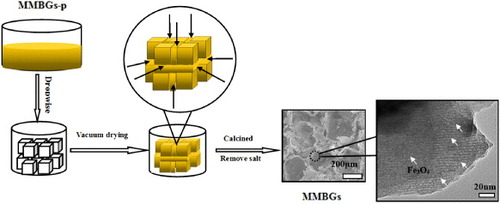 Figure 1. Illustration of the formation process of magnetic, macro/mesoporous bioglasses.