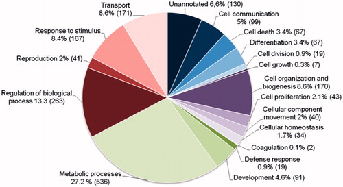 Figure 3. The distribution of gene ontology (GO) terms of the proteins from the bovine blastocyst cells. A protein can appear in more than one category.