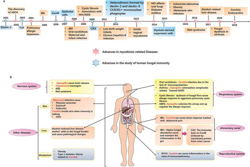 Figure 1. Time line of clinical progress of mycobiota and related diseases in various parts of the human body.