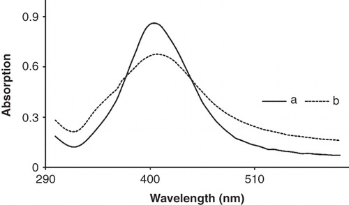Figure 1. UV spectra of synthesized AgNPs solution (10 ppm) at two different lecithin concentration: (a) KLec/Ag = 1, and (b) KLec/Ag = 2. AgNPs are capped by lecithin molecules and lead to a reduction in their maximum absorption.