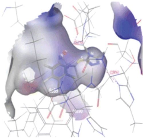 Figure 4.  Connolly surface representations of the active site of COX-1 with the bound tauto-4, shown in Ball and Stick model. Connolly surface of the active site of the COX-1 is colored according to a charge spectrum: Blue colour for H-bonding region, white colour indicates lipophilic area while red colour is used to reveal mild polar area.