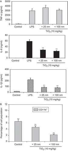 Figure 4.  Inhibitory effect of TiO2 nanoparticles on cytokine production. Mice were IP injected with 10 mg TiO2 nanoparticles/kg once a day for 7 days. Peritoneal cells were then collected from the peritoneal cavity of each mouse (with RPMI 1640 medium) 24 h following the final TiO2 injection. (A) Cells were stimulated with LPS for 48 h and culture supernatants were then collected for analyses of TNF-α (top), IL-6 (middle), and IL-1β (bottom) levels by enzyme-linked immunosorbent assay (ELISA). Data shown are in terms of mean ± SE. Value significantly (**P < 0.01) different from the control group. (B) Splenocytes from these control and TiO2 nanoparticle-injected mice were prepared and reacted with fluorescein isothiocyanate (FITC)-labeled anti-CD11b antibodies for 30 min. The cells were then washed twice with RPMI 1640-5% FBS and then analyzed via flow cytometry. Each population was determined and sizes compared between the control and TiO2 nanoparticle-injected groups. Each bar shown is a representative of three experiments performed. Data shown are in terms of mean ± SE. Value significantly (**P < 0.01) different from that of the control group.