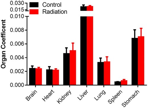 Figure 2. Effect of mobile phone radiation on the rabbit organ coefficients. Organ coefficients of control rabbits (n = 5) and radiation rabbits (n = 8).