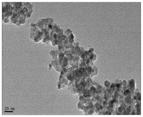 Figure 1 Image of magnetic nanoparticles of Fe3O4 under transmission electron microscope. Bar = 20 nm (40,000×).