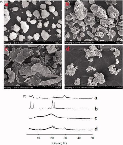 Figure 3. Scanning electron micrographs (A) and PXRD patterns (B): (a) calcium silicate; (b) SLS; (c) HPMC; (d) S-SNEDDS.