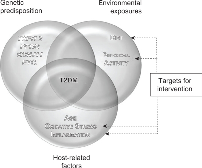 Figure 1 Interaction between genetic predisposition, environment, and host-related factors affecting T2DM and potential areas of focus for intervention. The development of T2DM results from the interaction between genetic predisposition, environmental exposures, and various host-related factors. single-nucleotide polymorphisms within several genes, such as TCF7L2, PPARG, and KCNJ11, have been associated with T2DM risk via candidate gene studies and genome-wide associations. Lack of physical activity and a hypercaloric diet, with the resulting visceral obesity and increased adiposity in liver and muscle tissue, are associated with T2DM risk as well. Finally, host-related factors such as age, oxidative stress, and chronic inflammation also play a role in the development of the disease. Therapeutic interventions aimed at modifying lifestyle and/or levels of oxidative stress and chronic inflammation may aid in T2DM prevention and control.