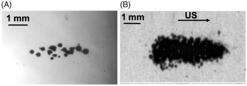 Figure 1. High-speed photograph of cavitation generated by (A) intrinsic threshold histotripsy (modified from ref [Citation69]) and (B) shockscattering histotripsy (modified from ref [Citation73]). Ultrasound propagates from left to right.