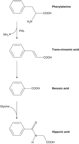 Figure 2. Degradation of phenylalanine to trans-cinnamic acid and ammonia by the enzyme PAL. Trans-cinnamic acid is converted to benzoic acid by a mechanism that is not yet well described; benzoic acid is conjugated with glycine to form hippuric acid and excreted in urine.