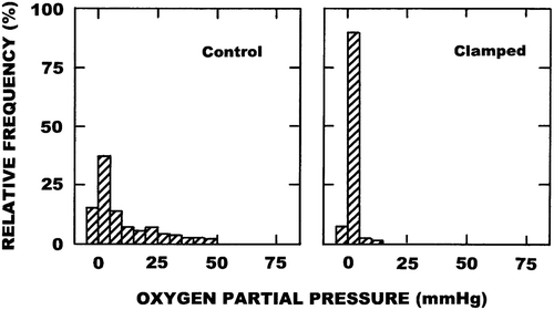 Figure 1. Representative histograms showing the oxygen partial pressure (pO2) profiles obtained in C3H mammary carcinomas with the Eppendorf oxygen electrode. Results show the relative frequency of the various pO2 values measured in 3–6 mice under either control or clamped conditions.