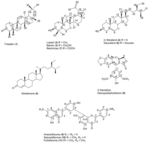 Figure 1.  Structures of compounds from Amanoa almerindae.