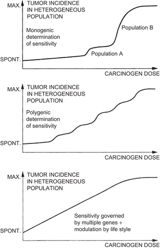 Figure 1.  Schematic representation presented by CitationLutz (1990) of dose-response relationships in heterogeneous populations, with increasing factors affecting sensitivity to a chemical carcinogen in each graph.