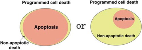 Figure 1. Apoptosis vs. non-apoptotic mechanisms of programmed cell death. Mammalian cells seem to possess multiple death mechanisms, but it is unclear how much each of these mechanisms contributes to programmed death in vivo.