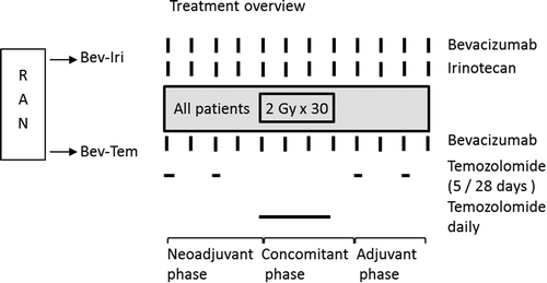 Figure 1. The study was composed of a neoadjuvant phase, a concomitant phase and an adjuvant phase (each of eight weeks) as shown. Patients in both treatment arms began radiotherapy at the start of the concomitant phase.