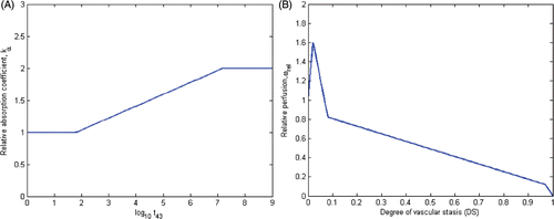 Figure 2. (A) Acoustic attenuation coefficient, α = kα α0, increases linearly with the logarithm of thermal dose, t43, as described in Citation31 and employed in models 1–3. (B) Blood mass perfusion rate , varies as a function of degree of vascular stasis, computed using an Arrhenius model, as described in Citation29 and Citation37 and employed in model 1.