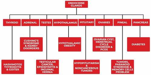 Flow diagram 1. Various types of disorders occur due to abnormalities of different endocrine glands