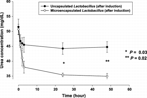 Figure 5. The mean (± SE) plasma urea nitrogen level at specified time of in vitro experiments: Significantly lower plasma urea with microencapsulated Lactobacillus after 24 and 48 hours of incubation, as compared to the values for the same amount of Lactobacillus without encapsulation.