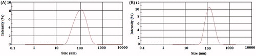 Figure 1. Particle size distribution of the prepared nanoparticles: (A) blank CaCO3 nanoparticles and (B) ciprofloxacin HCl-loaded CaCO3 nanoparticles.