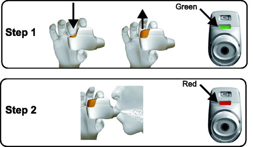 Figure 4. Genuair inhalation process (Citation16). Step 1: after removing the cap, the patient must hold the inhaler horizontally and press the button all the way down to load the dose. The control window will then change from red to green to indicate that the medicine is ready to be inhaled. The button can then be released. Step 2: after breathing out thoroughly, the patient must take a strong, deep breath through the mouthpiece to actuate the dose. The control window will change to red, indicating the medicine has been inhaled correctly.