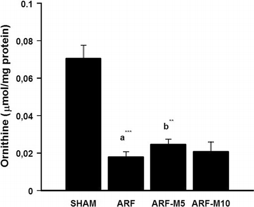 Figure 2 Kidney tissue ornithine levels in SHAM, ARF, ARF-M5, and ARF-M10 groups: (a) the comparison between SHAM and ARF, (b) the comparison between ARF and ARF-M5 groups (**p < 0.01 and ***p < 0.001). SHAM: Sham control; ARF: Acute renal failure treated with saline; ARF-M5: Acute renal failure treated with melatonin (5 mg/kg); ARF-M10: Acute renal failure treated with melatonin (10 mg/kg).