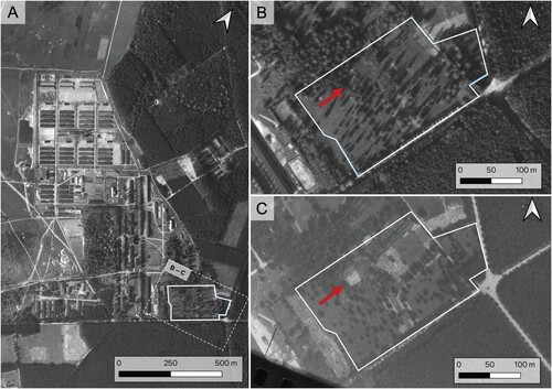 Figure 5. Campscape of Stalag VIII B (344) Lamsdorf. A) A general view of the camp in October 1944 with location of the camp cemetery marked; B) a fragment of a photo taken in October 1944 documenting the camp cemetery—the arrow indicates the Italian quarters; and, C) a fragment of a photo from July 1944 documenting the camp cemetery—the arrow indicates the Italian quarters. Based on vegetation marks and their number and the date of the photo, it was assumed that the registered place was the quarters of the Italian soldiers who died at the end of the Second World War in Stalag VIII B (344) Lamsdorf (prepared by K. Karski; source: The National Archives and Records Administration).