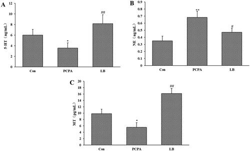 Figure 2. Effects of LB on hypothalamic levels of 5-HT (A), NE (B) and MT (C) in PCPA-induced insomnia rat. Control: received only saline treatment; PCPA: treated with 400 mg/kg PCPA only; LB: PCPA + 598.64 mg/kg LB. Values are presented as the means ± SD, n = 8. *p < .05, **p < .01 compared with Control; #p < .05, ##p < .01 compared with PCPA using One-Way ANOVA.