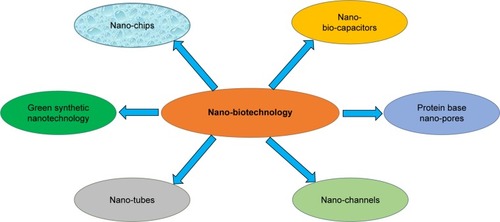 Figure 1 Different aspects of nano-biotechnology. Figure 2 Biological synthesis of metallic NPs.Abbreviations: EDX, energy-dispersive X-ray; FTIR, Fourier-transform infrared; NPs, nanoparticles; SEM, scanning electron microscope; TEM, transmission electron microscopy; UV, ultraviolet; vis, visible; XRD, X-ray diffraction.Display full size