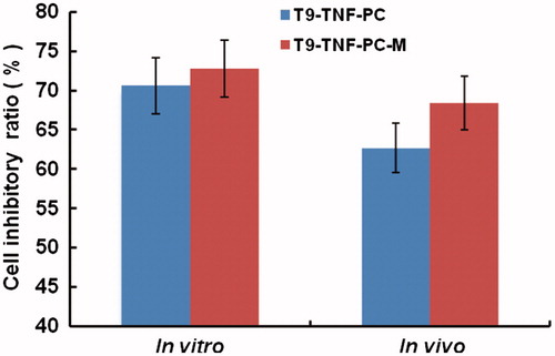 Figure 7. Inhibitory effects of T9-TNF-PC and T9-TNF-PC-M microspheres on human hepatocellular carcinoma.