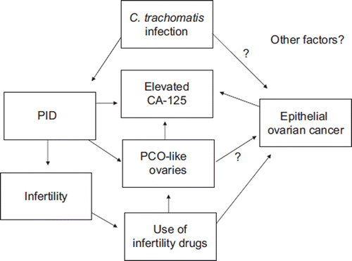 Figure 3. Hypothetical model of an interaction between Chlamydia trachomatis, PID, and epithelial ovarian cancer.