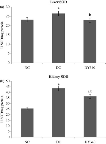 Figure 4. Effect of yacon root flour (340 mg FOS/kg body weight) on superoxide dismutase (SOD) activity in (a) liver and (b) kidney of normal and STZ-diabetic rats. Data are the mean ± SD. ap < 0.05 compared with non-diabetic control animals; bp < 0.05 compared with diabetic control animals. n = 6 animals per group. NC, non-diabetic control animals; DC, diabetic control animals; DY340, diabetic animals treated with yacon root flour (340 mg FOS/kg body weight).