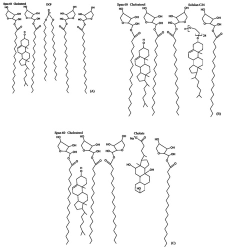 Figure 5. Hypothetical positions occupied by DCP (A), Solulan (B) and sodium cholate (C) in the bilayer membrane of Span 60 niosomes stabilised by cholesterol (Abdelkader et al., 2011).