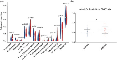Figure 7. Correlations between the IFN-β response score and proportions of mononuclear cell subtypes. (a) Violin plot of the abundances of mononuclear subtypes between the high-risk (blue) and low-risk (red) groups. (b) The abundances of naive CD4 T cells in the total CD4 T cell population between the high- and low-risk groups.