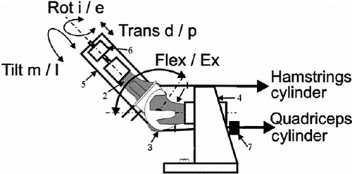 Figure 2. Detailed schematic side view of the applied forces and movements. The specimen was brought from a position of 120° of flexion to full extension by applying force on the quadriceps cylinder, providing a constant joint extension moment (31 Nm) resisted by the swing arm. An additional flexion force was applied by the hamstrings cylinder. 1) femur, 2) tibia, 3) patella, 4) femur frame 5) swing arm, 6) strain gauge, and 7) load cell.