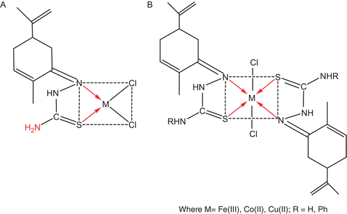 Figure 2.  Structural formula for the complexes (A) [M(LH)Cl2] and (B) [M(LH)2Cl2].