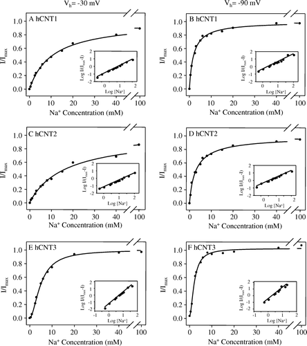 Figure 3.  Voltage-dependence of hCNT1, hCNT2 and hCNT3 cation activation kinetics. Na+ concentration-response curves (pH 8.5) measured in single representative hCNT1- (A, B), hCNT2- (C, D) and hCNT3- (E, F) producing oocytes at membrane potentials of −30 (A, C, E) and −90 (B, D, F) mV (20 µM uridine). Currents at each Na+ concentration were normalized to the fitted Imax value for that oocyte. Imax values ranged from 45–101 nA. No currents were observed in control water-injected oocytes. Mean Na+-activation data for hCNT1, hCNT2, and hCNT3 is summarized in Table II. The insets are Hill plots of the data.