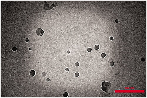 Figure 1. TEM micrographs of KA-NLC3 dispersion.
