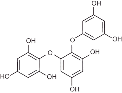 FIGURE 1. Chemical structure of triphlorethol-A.