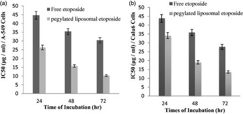 Figure 7. The values IC50 (μg/ml) for this free etoposide and PEGylated liposomal drug in various cell lines over 24-h, 48-h and 72-h incubation at 37 °C under 5% CO2. (a) A-549 cell line and (b) Calu6 cell line.