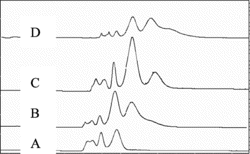 Figure 4 The electropherogram of fractions A, B, C, and D of SE-HPLC by capillary zone electrophoresis.