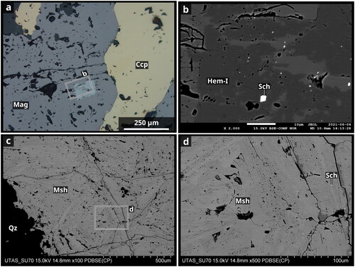 Figure 8. Reflected light photograph (a) and backscattered electron (BSE) images (b–d) of magnetite-dominated ironstones below the Starra 222 main mineralisation. (a, b) Hematite partly replaced by magnetite in the ironstone leading to the formation of scheelite inclusions (MH_STA_091b, STQ1042, 635.9 m). (c, d) Mushketovite texture in the magnetite-dominated ironstones with scheelite inclusions (MH_STA_094, STQ1042, 660.25 m). Mineral abbreviations: Ccp, chalcopyrite; Hem, hematite; Mag, magnetite; Muk, mushketovite; Sch, scheelite.