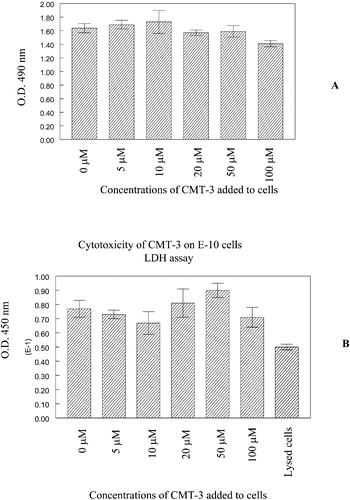 Figure 7 Cytotoxicity of CMT‐3 to E‐10 cells on R22 ECM. E‐10 cells were plated onto ECM‐coated wells in the presence of different concentrations of CMT‐3 as described in Methods section. At the end of a 48‐hour incubation, cell viability was analyzed by MTS (A) or LDH (B) assay. Further details are described in the Methods section.