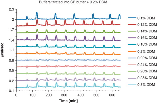 Figure 6. Visualization of the buffer mismatch that appears when aliquots of buffer containing a defined DDM concentration (0.1–0.3%) is titrated into 20 mM Bis Tris-propane pH 7.4, 200 mM KCl, 0.0125 mg/ml lipids and 0.2% DDM. A negligible mismatch is only observed at 0.22% and 0.24% detergent. To avoid curve overlap, the graphs were horizontally shifted. This Figure is reproduced in color in Molecular Membrane Biology online.