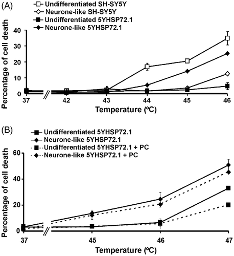 Figure 3. Hyperthermic resistance of undifferentiated but not neurone-like 5YHSP72.1 cells. (A) Cells were exposed to the indicated temperatures for 30 min and after 18 h recovery at 37°C, the percentage of cells undergoing cell death was determined. Results from untransformed SH-SY5Y cells are included for comparison. (B) Cells were thermally preconditioned (PC) at 43°C for 20 min and allowed to recover for 8 h at 37°C before subsequent heating at the temperatures shown. Results for non-preconditioned 5YHSP72.1 are included for comparison. All results are from three independent experiments. Error bars indicate standard deviation.