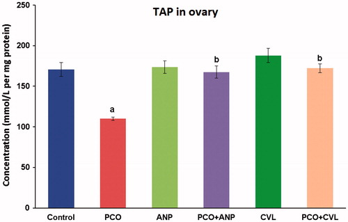 Figure 7. Comparative assessment of TAP in ovary in control and experimental groups of rats. aA significant difference between control and other treated groups at p < 0.05 level. bA significant difference among PCO−, PCO + ANP−, and PCO + CVL-treated groups at p < 0.05 level. CVL, carvedilol; ANP, ANGIPARS™; PCO, polycystic ovary; TAP, total antioxidant power.