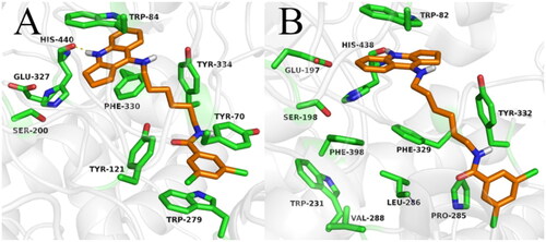Figure 5. Binding mode of compound 2e within acetylcholinesterase (A) and butyrylcholinesterase (B).