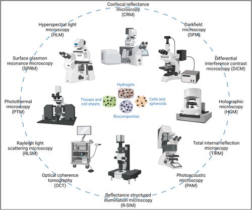 Figure 1 Selection of microscopy systems which are capable of or can be modified for reflectance- or scattering-based localization of label-free nanoparticles (The pictures are merely intended to illustrate the large number of possible microscopy systems and are not supposed to represent an explicit microscope type or manufacturer). (Image created with BioRender.com).
