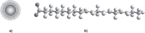 Figure 3 (a) A nanoparticle grafted with long-chain fatty acids self-assembled monolayers without R functional groups. (b) A scheme of possible fatty acids (alpha linoleic acid) to graft into iron oxide surface particles.