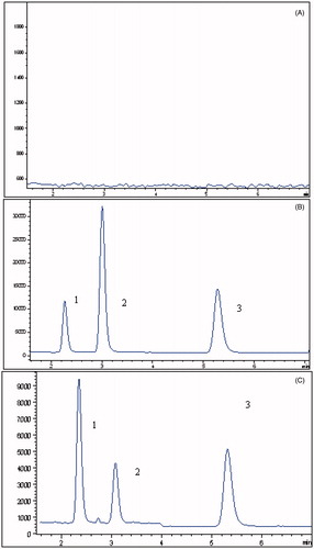 Figure 3. (A) Representative chromatograms of blank plasma; (B) blank plasma spiked with losartan (2), EXP3174 (3) and irbesartan (1); (C) rat plasma treated with BBR and losartan.
